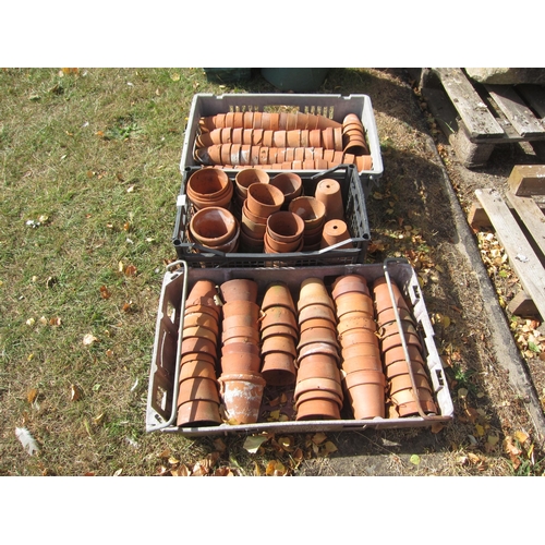 Lot 6030      