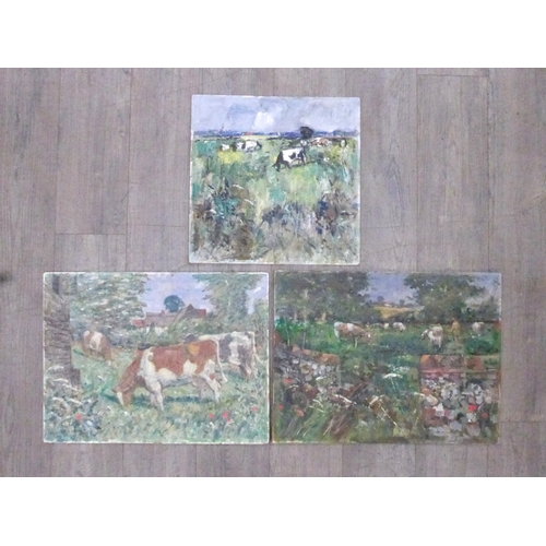 Lot 6014      