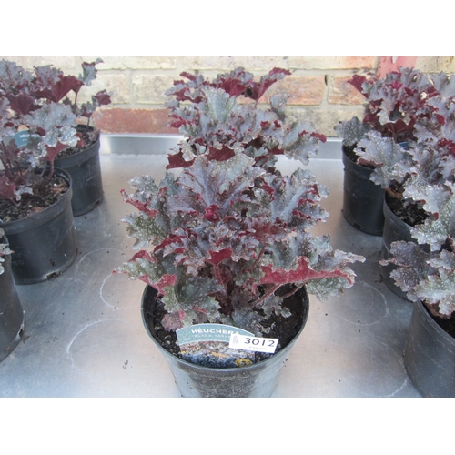 Lot 3012      