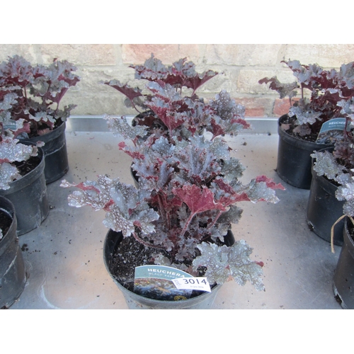 Lot 3014      