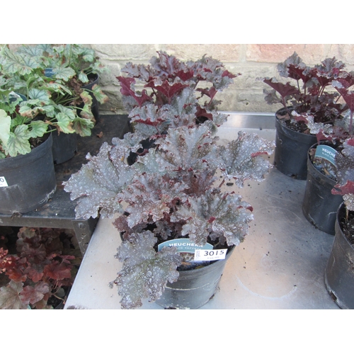 Lot 3015      