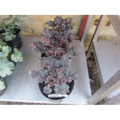 Lot 3016      