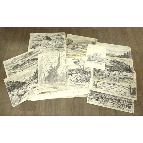 Lot 6026      