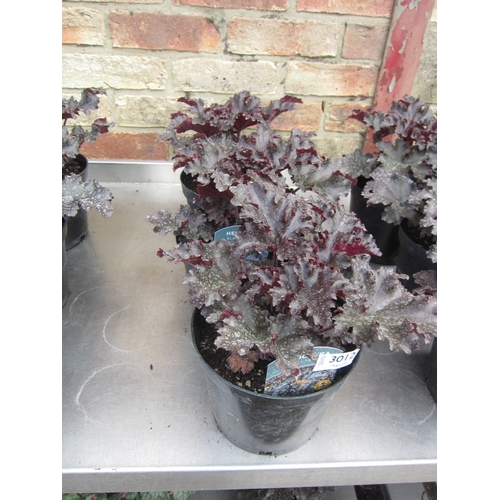 Lot 3012      