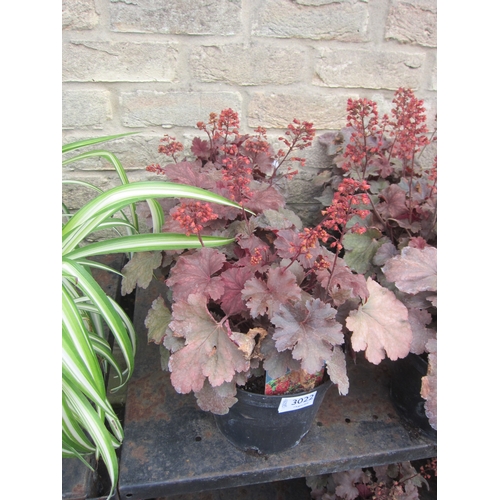 Lot 3022      