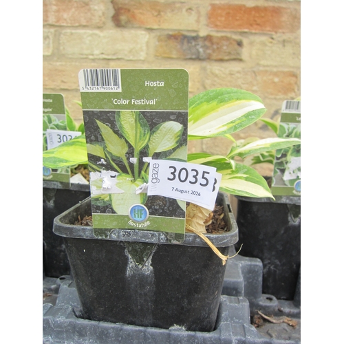 Lot 3035      