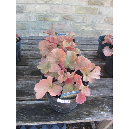 Lot 3002      