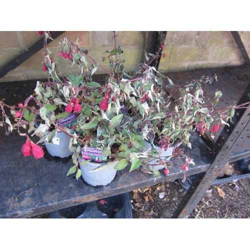 Lot 3024      