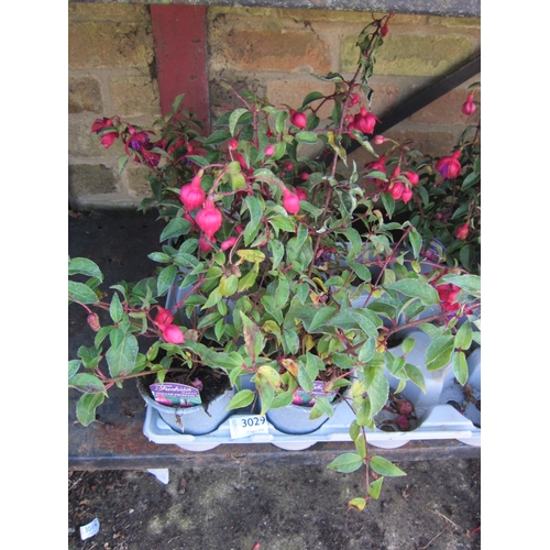 Lot 3029      