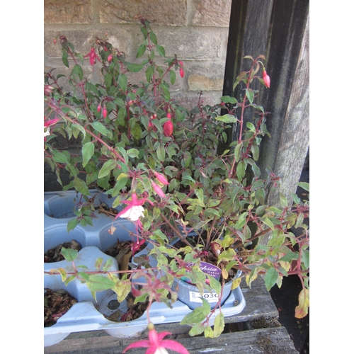 Lot 3030      