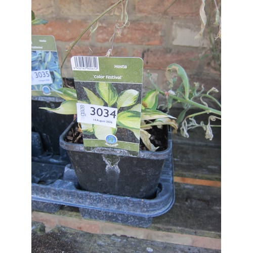 Lot 3034      