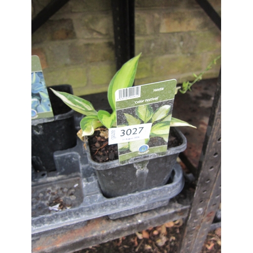 Lot 3027      
