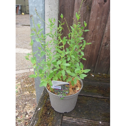 Lot 3054      