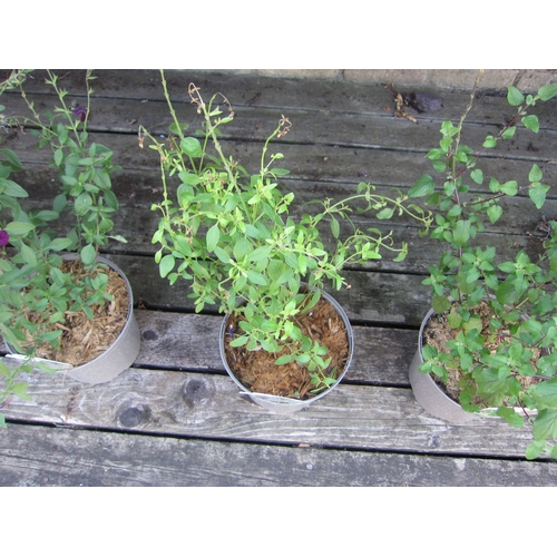 Lot 3045      
