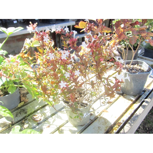Lot 3058      
