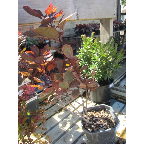Lot 3060      
