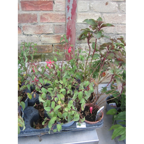 Lot 3010      
