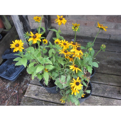 Lot 3040      