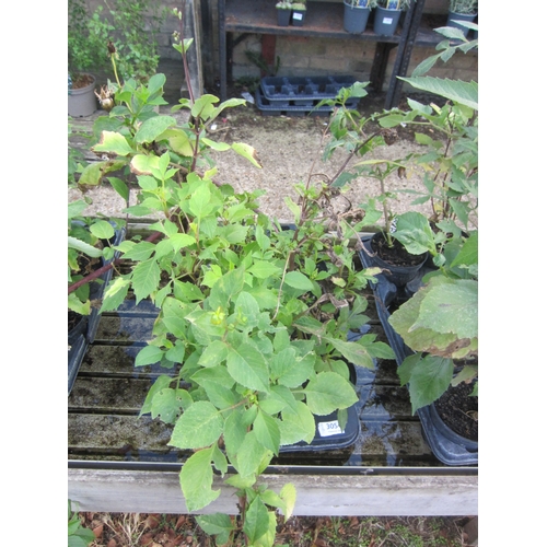 Lot 3054      