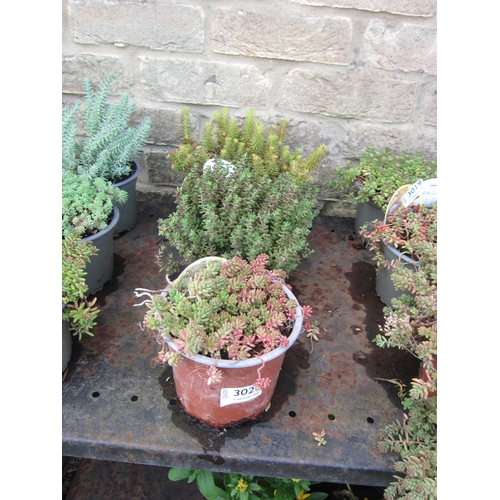 Lot 3020      