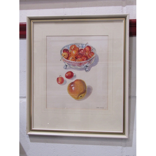 Lot 1026      