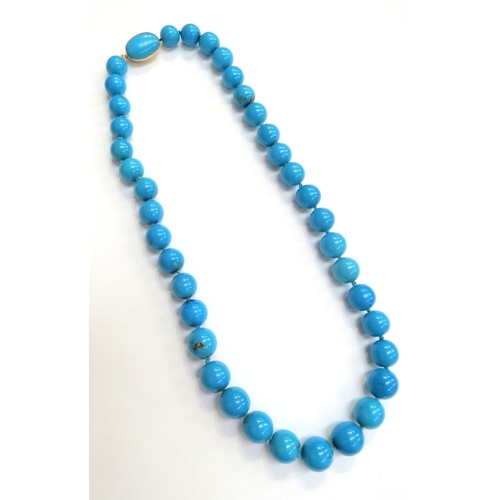 A turquoise graduated bead necklace largest bead 15mm, with a gold ...