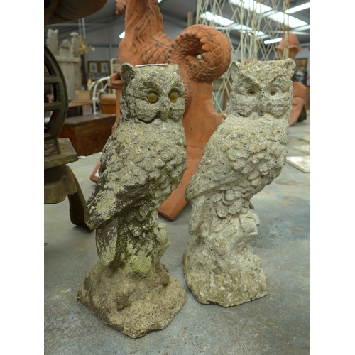 Lot 2040      
