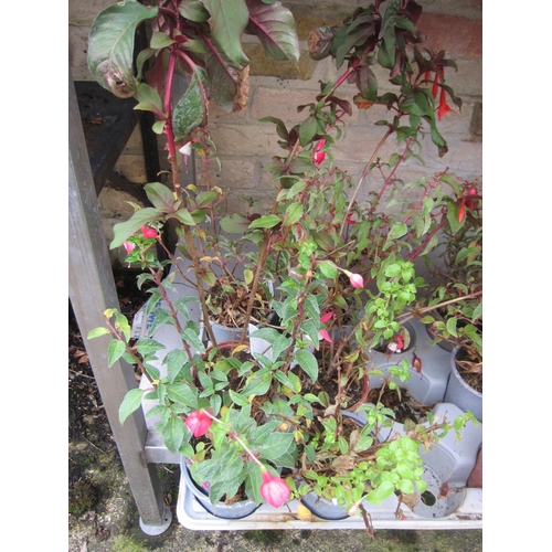 Lot 3022      