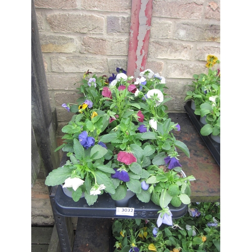 Lot 3032      