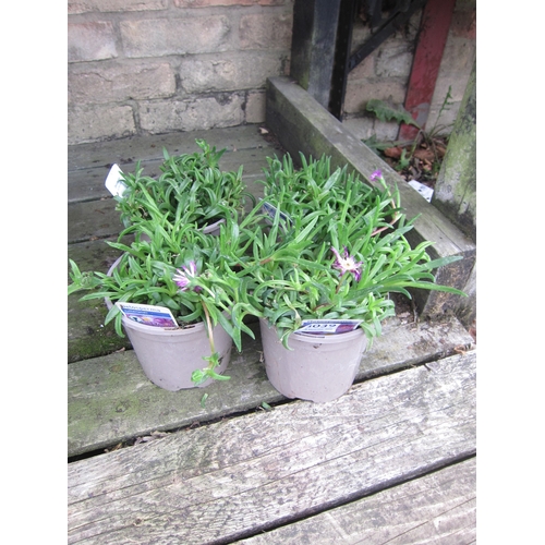 Lot 3039      