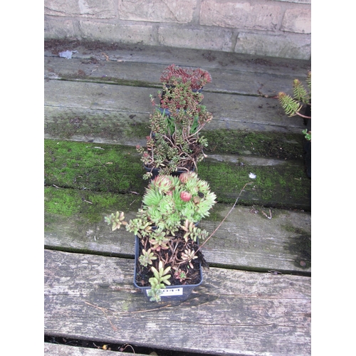 Lot 3044      