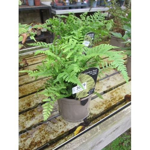 Lot 3059      