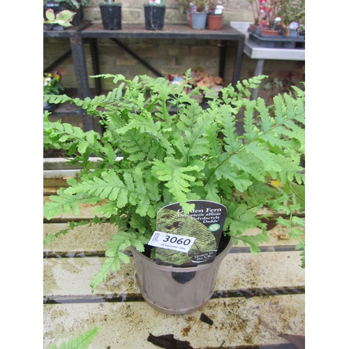 Lot 3060      