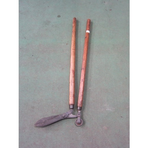 Lot 8026      