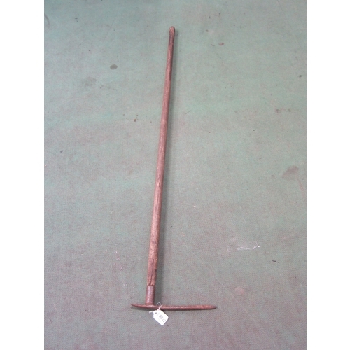Lot 8022      