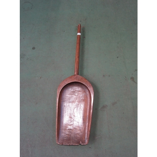 Lot 8015      