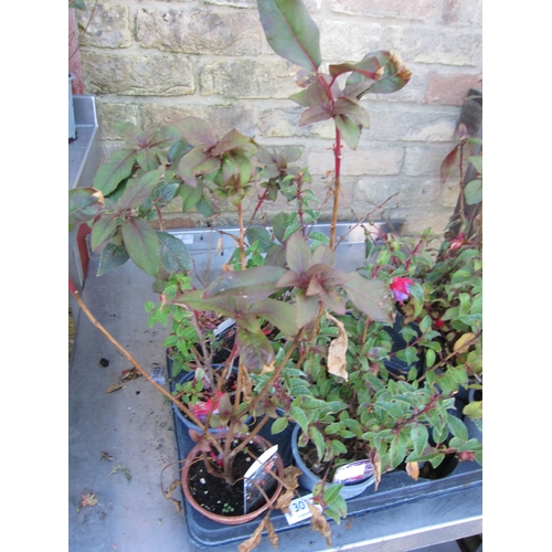 Lot 3012      