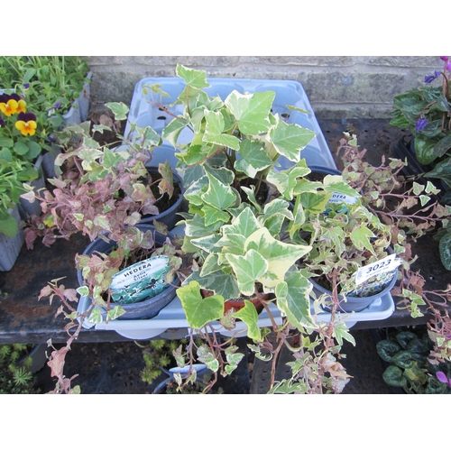 Lot 3023      