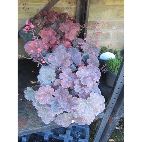 Lot 3032      