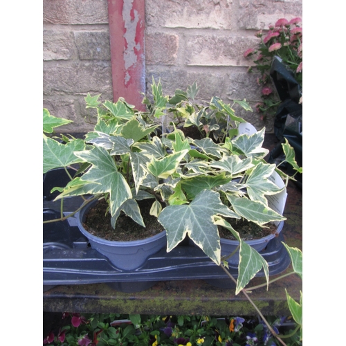 Lot 3032      