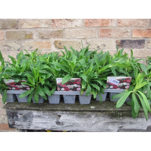 Lot 3040      