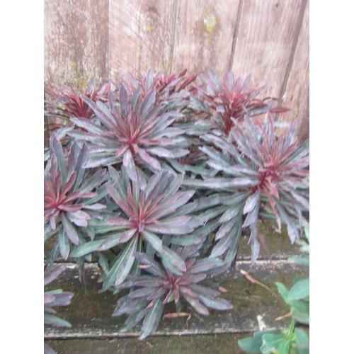Lot 3060      