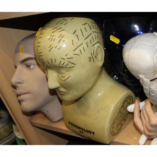 234 - A phrenology head, two glass heads, two mannequin heads and a quantity of model hands