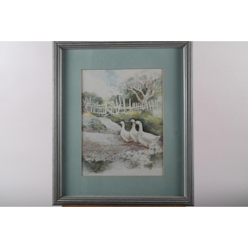 409 - Val Davis: a colour print, swans on a pond, 14