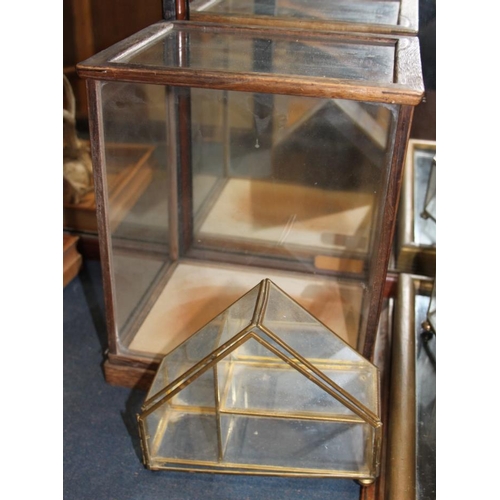 220 - A tabletop glass and wooden mounted display case, 16