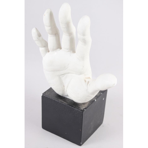 242 - A plaster model of a flayed hand in pine frame, and another similar, on square block base