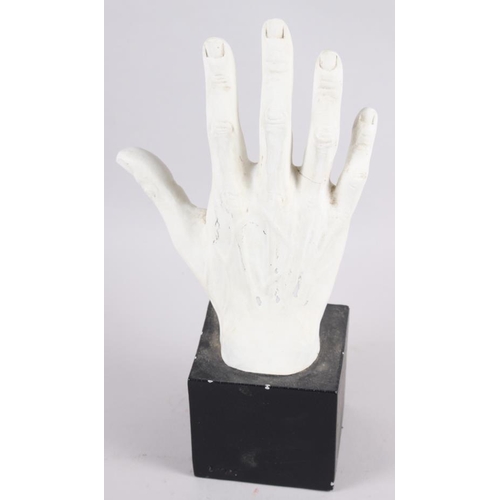 242 - A plaster model of a flayed hand in pine frame, and another similar, on square block base