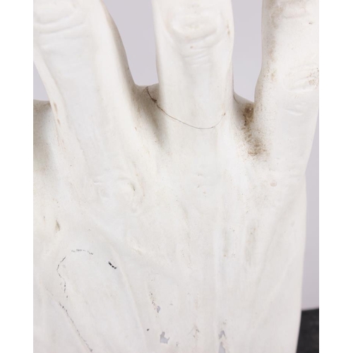 242 - A plaster model of a flayed hand in pine frame, and another similar, on square block base