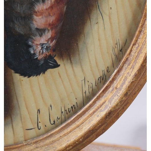 471 - C Gappini? Firenze 1874: bodycolours on panel, dead birds, 8 1/2 x 7, in oval gilt frame