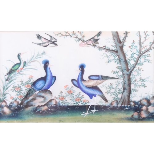 475 - A pair of Chinese watercolours, tropical birds, 6 3/4